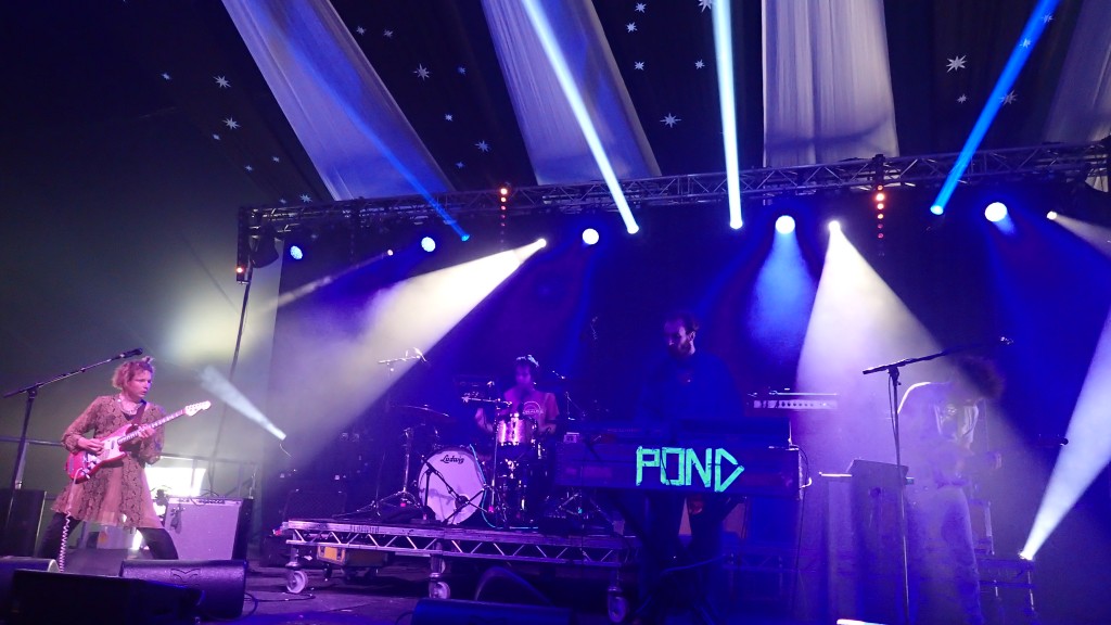End of the Road Festival 2015 - Pond